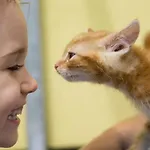 Steinerhof In Kaernten Farma Liebenfels