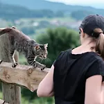 Farma Steinerhof In Kaernten Liebenfels