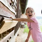 Steinerhof In Kaernten *