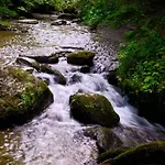 Steinerhof In Kaernten *