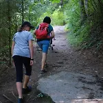 Steinerhof In Kaernten Liebenfels