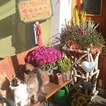 Steinerhof In Kaernten Farma Liebenfels