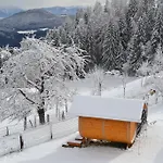 Steinerhof In Kaernten * Liebenfels