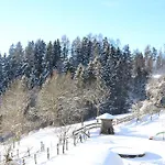 Steinerhof In Kaernten Farma *