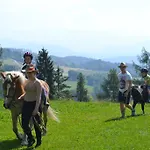 Farma Steinerhof In Kaernten *