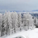 Steinerhof In Kaernten Farma