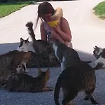 Steinerhof In Kaernten *