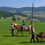 Steinerhof In Kaernten * Liebenfels