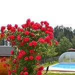 Steinerhof In Kaernten *