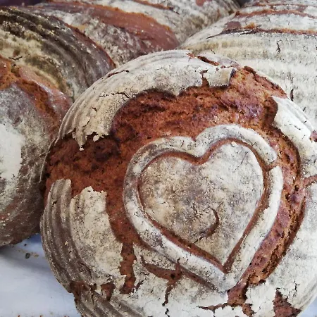 Vakantieboerderij Steinerhof In Kaernten
