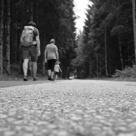 Vakantieboerderij Steinerhof In Kaernten