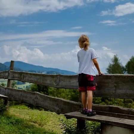 Steinerhof In Kaernten