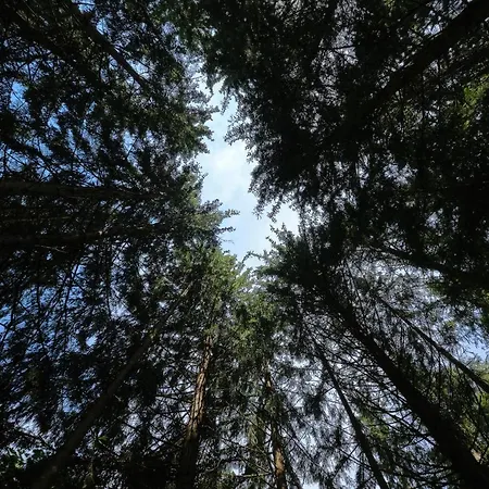 Feriegård Steinerhof In Kaernten *