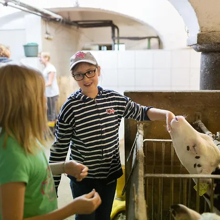 Steinerhof In Kaernten Liebenfels