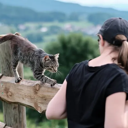 Alojamento de Turismo Rural Steinerhof In Kaernten Liebenfels
