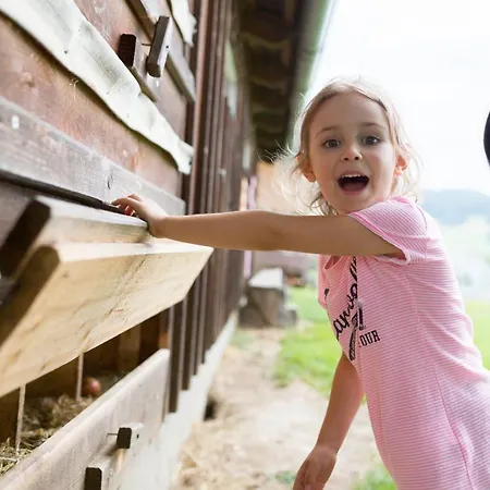 Steinerhof In Kaernten *