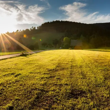 Steinerhof In Kaernten Liebenfels