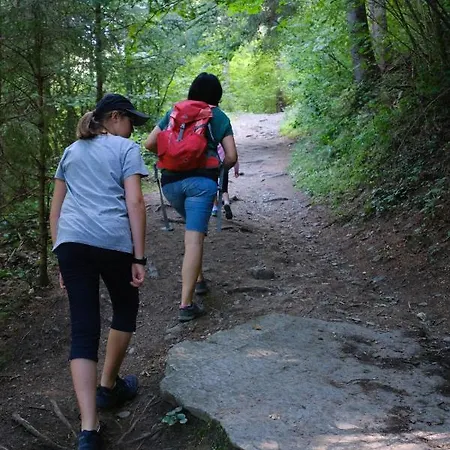 Steinerhof In Kaernten Liebenfels