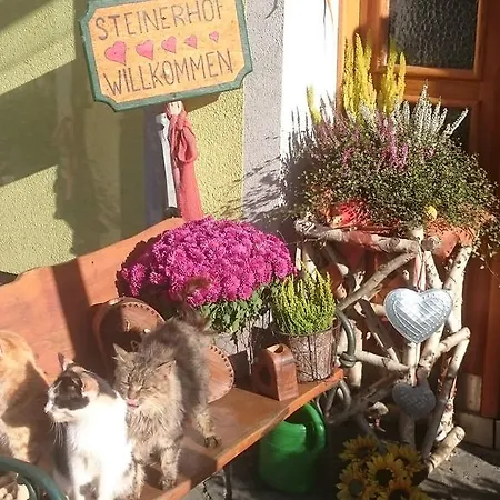 Steinerhof In Kaernten Farm stay Liebenfels