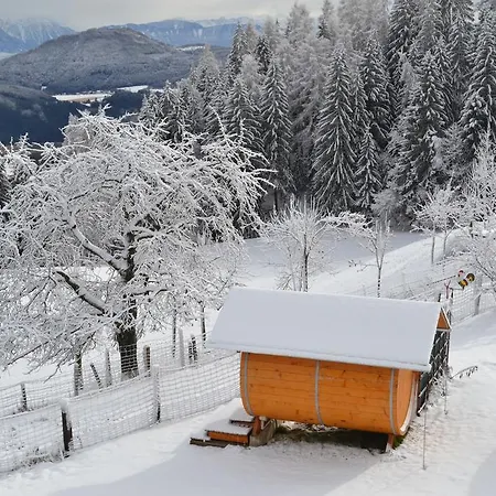 Steinerhof In Kaernten * Liebenfels