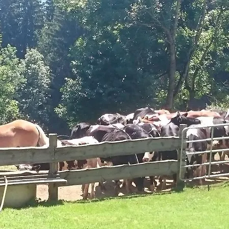 Steinerhof In Kaernten *