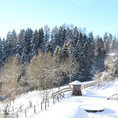 Steinerhof In Kaernten Vakantieboerderij *