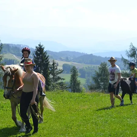 Feriegård Steinerhof In Kaernten *