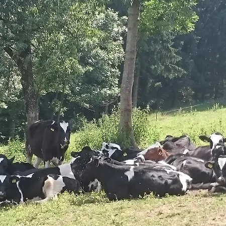 Steinerhof In Kaernten Vakantieboerderij *