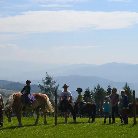 Steinerhof In Kaernten