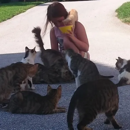 Steinerhof In Kaernten *