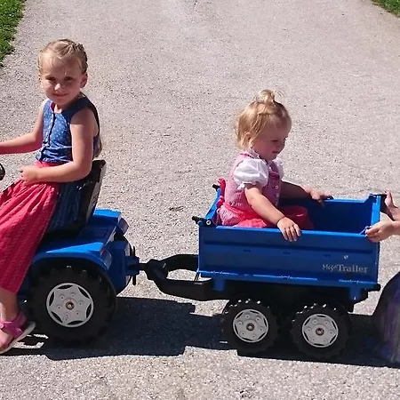 Feriegård Steinerhof In Kaernten