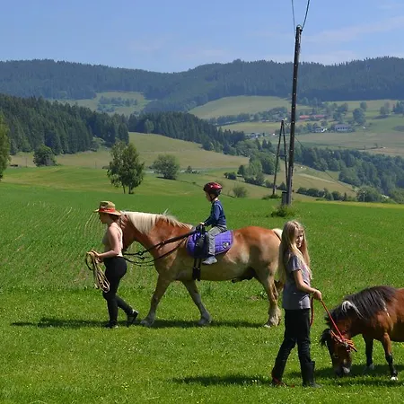 Steinerhof In Kaernten * Liebenfels