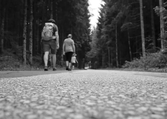 Gospodarstwo agroturystyczne Steinerhof In Kaernten