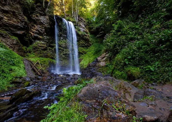 Gospodarstwo agroturystyczne Steinerhof In Kaernten