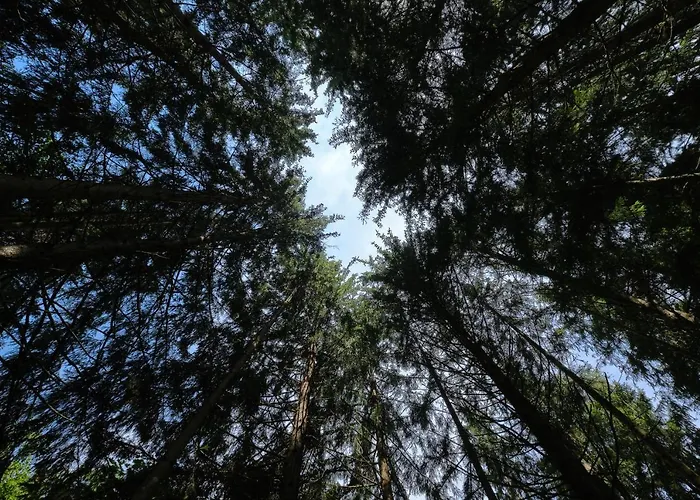Farma Steinerhof In Kaernten *