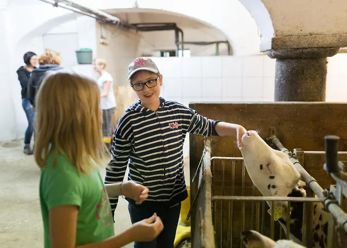 Steinerhof In Kaernten Liebenfels