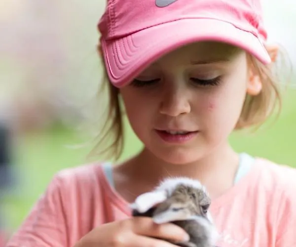 Steinerhof In Kaernten Farma Liebenfels