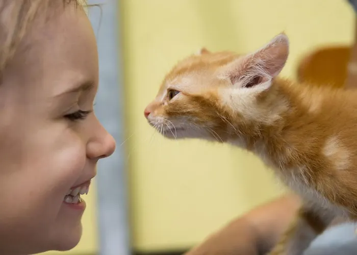 Steinerhof In Kaernten Farma Liebenfels