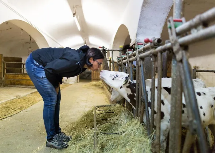 Steinerhof In Kaernten *