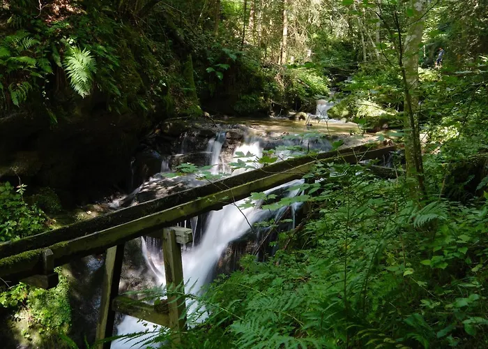 Steinerhof In Kaernten *