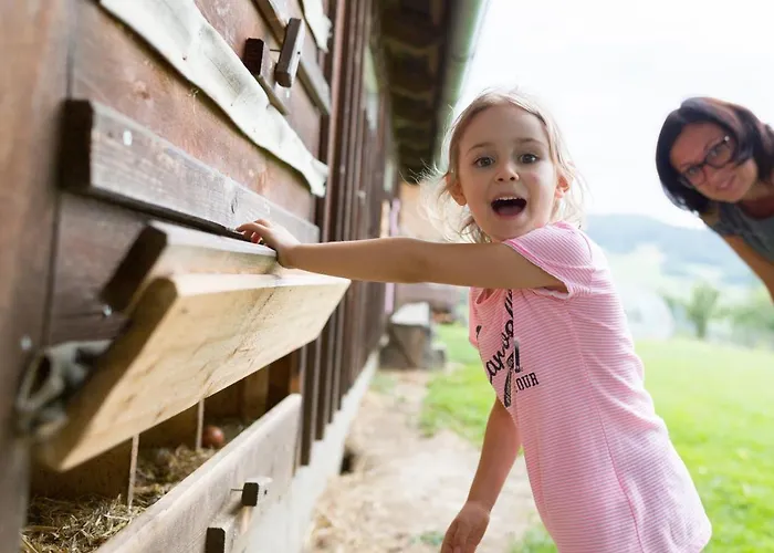 Steinerhof In Kaernten *