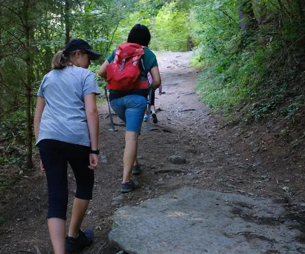 Steinerhof In Kaernten Liebenfels