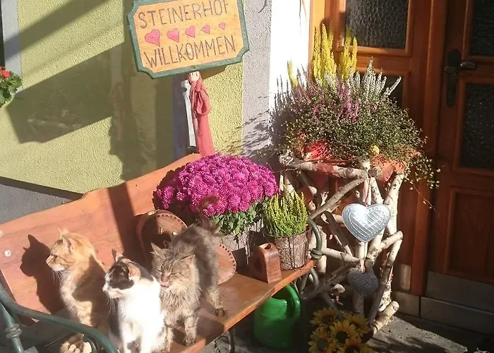 Steinerhof In Kaernten Gospodarstwo agroturystyczne Liebenfels