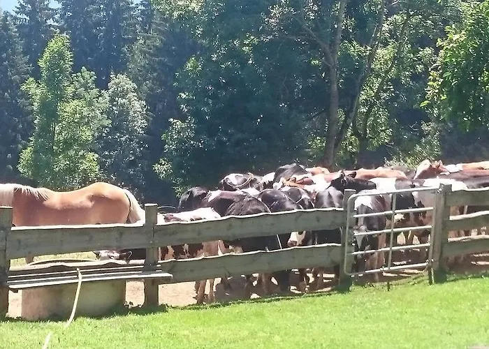 Steinerhof In Kaernten *