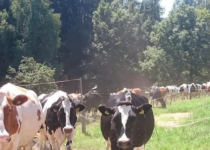 Steinerhof In Kaernten Gospodarstwo agroturystyczne Liebenfels