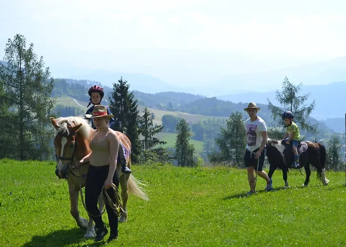 Gospodarstwo agroturystyczne Steinerhof In Kaernten *