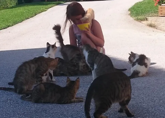 Steinerhof In Kaernten *