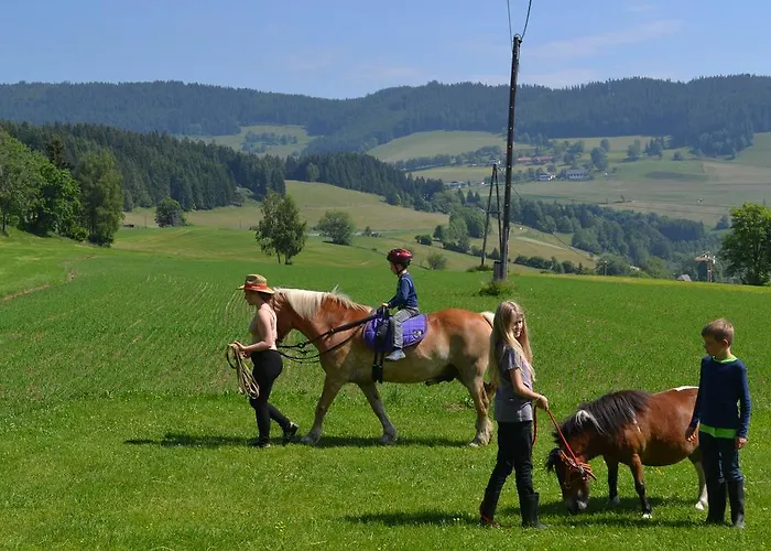 Steinerhof In Kaernten * Liebenfels