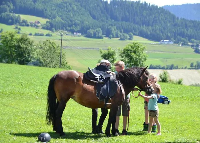 Steinerhof In Kaernten Gospodarstwo agroturystyczne Liebenfels